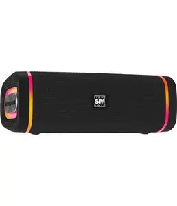 Портативные аудиосистемы SOUNDMAX SM-PS5019B на скидке
