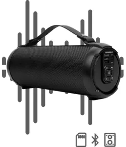 Портативные аудиосистемы SOUNDMAX SM-PS5020B на скидке