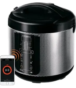 Мультиварка RMC-M225s на скидке