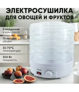 Сушилка RageX R301-100 для овощей и фруктов, 350 Вт, КИТАЙ, на скидке