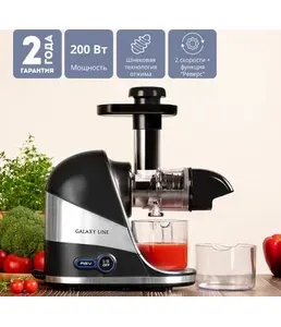 Соковыжималка Galaxy LINE GL 0817, черный на скидке