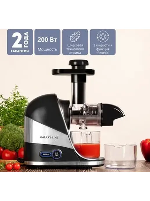Соковыжималка Galaxy LINE GL 0817, черный