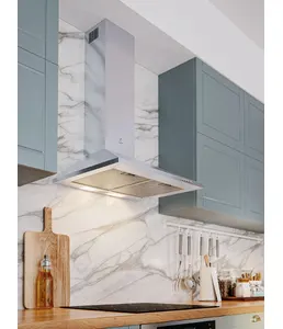 LEX BASIC 500 INOX вытяжка на скидке