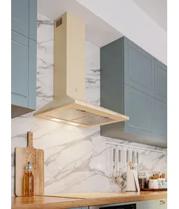 LEX BASIC 600 IVORY вытяжка на скидке