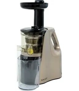 Galaxy GL 0802 Соковыжималка электрическая на скидке