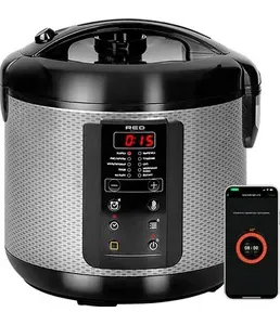 Мультиварка RED SOLUTION SkyCooker RMC-M225S на скидке