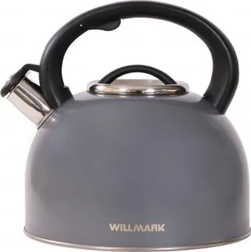 Чайник WILLMARK WTK-4810SS