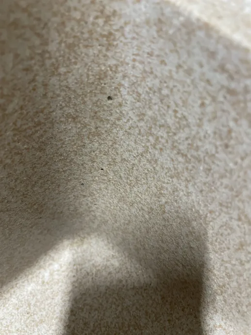 Мойка кухонная AquaSanita Papillon SCP 151 110 AW beige