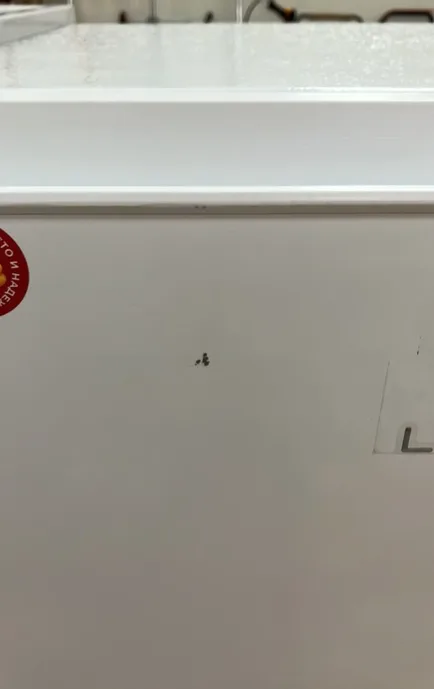 LEX LSD100W однодверный холодильник с НТО