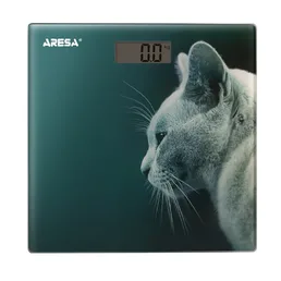 Напольные весы ARESA AR-4412 на скидке