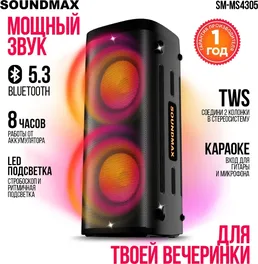 Музыкальный центр SOUNDMAX SM-MS4305 на скидке