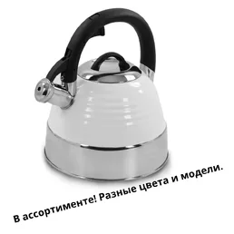 Чайник газовый на скидке