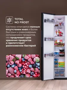 Отдельностоящий холодильник LSB520SlGID на скидке