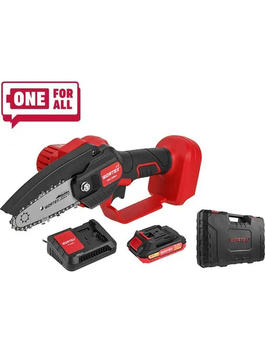Аккум. мини-пила WORTEX LX CEC 2518-1 в чем. ALL1 XLT с акб и зу SET 1