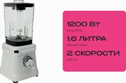 Стационарный блендер RageX R1501-201 на скидке