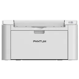 Лазерный принтер Pantum P2200 на скидке