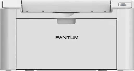 Лазерный принтер Pantum P2200