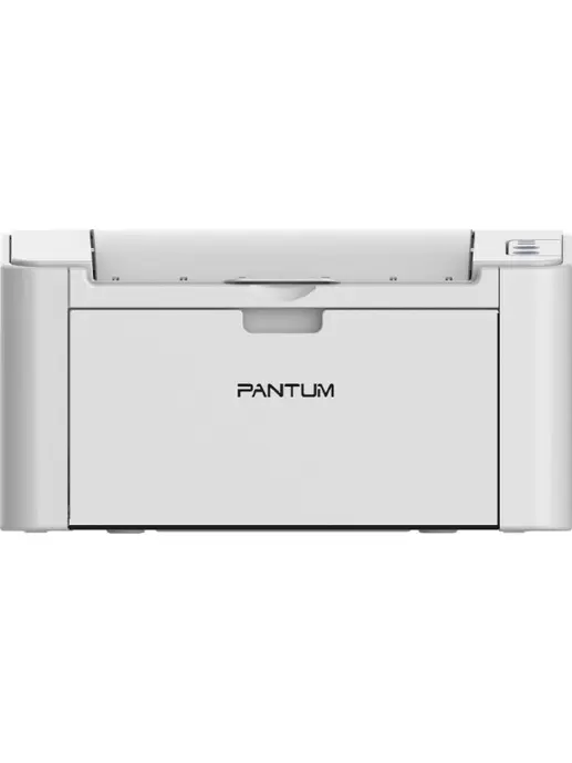 Лазерный принтер Pantum P2200