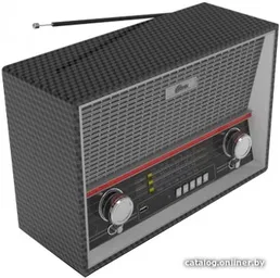 Радиоприемник Ritmix RPR-102 бук на скидке