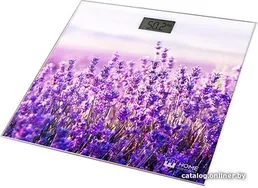 Весы напольные HOME ELEMENT HE-SC906 на скидке