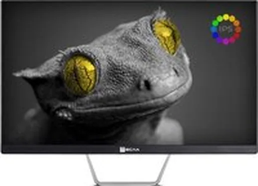 Моноблок ТЕСЛА Z24B 2108500