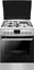 Кухонная плита Hansa FCMX68209