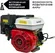 Бензиновый двигатель Skiper N170FL(SFT)