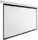 Проекционный экран Future Vision Wall 200 200x200 W200SMW