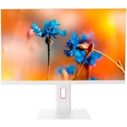 Моноблок ТЕСЛА P24WP 2416500